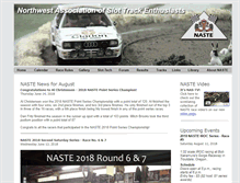 Tablet Screenshot of naste.org